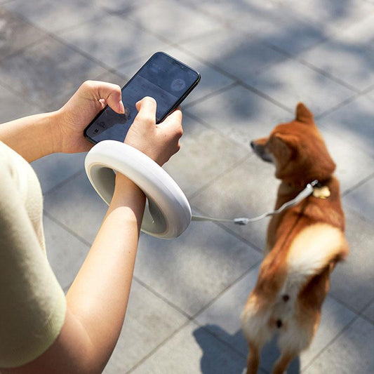 UFOGlow LED Ring Leash